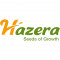 Hazera