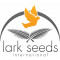 Lark Seeds