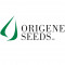 Origene Seeds